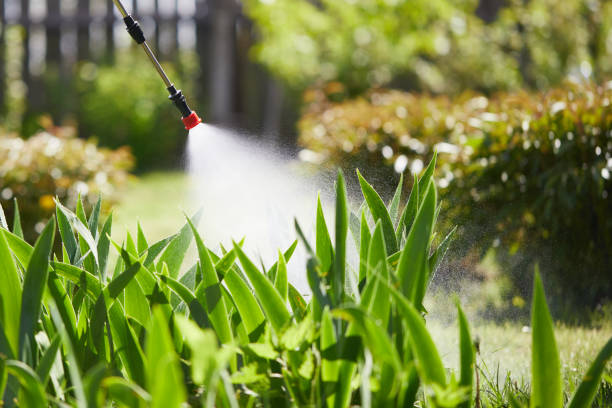 24/7 Emergency Mosquito Control experts in Marathon, FL
